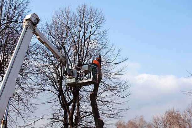 Mulching Services in Cashmere, WA